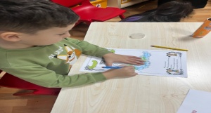 yeşil çalışması-sabahçı